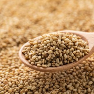 SESAME SEEDS