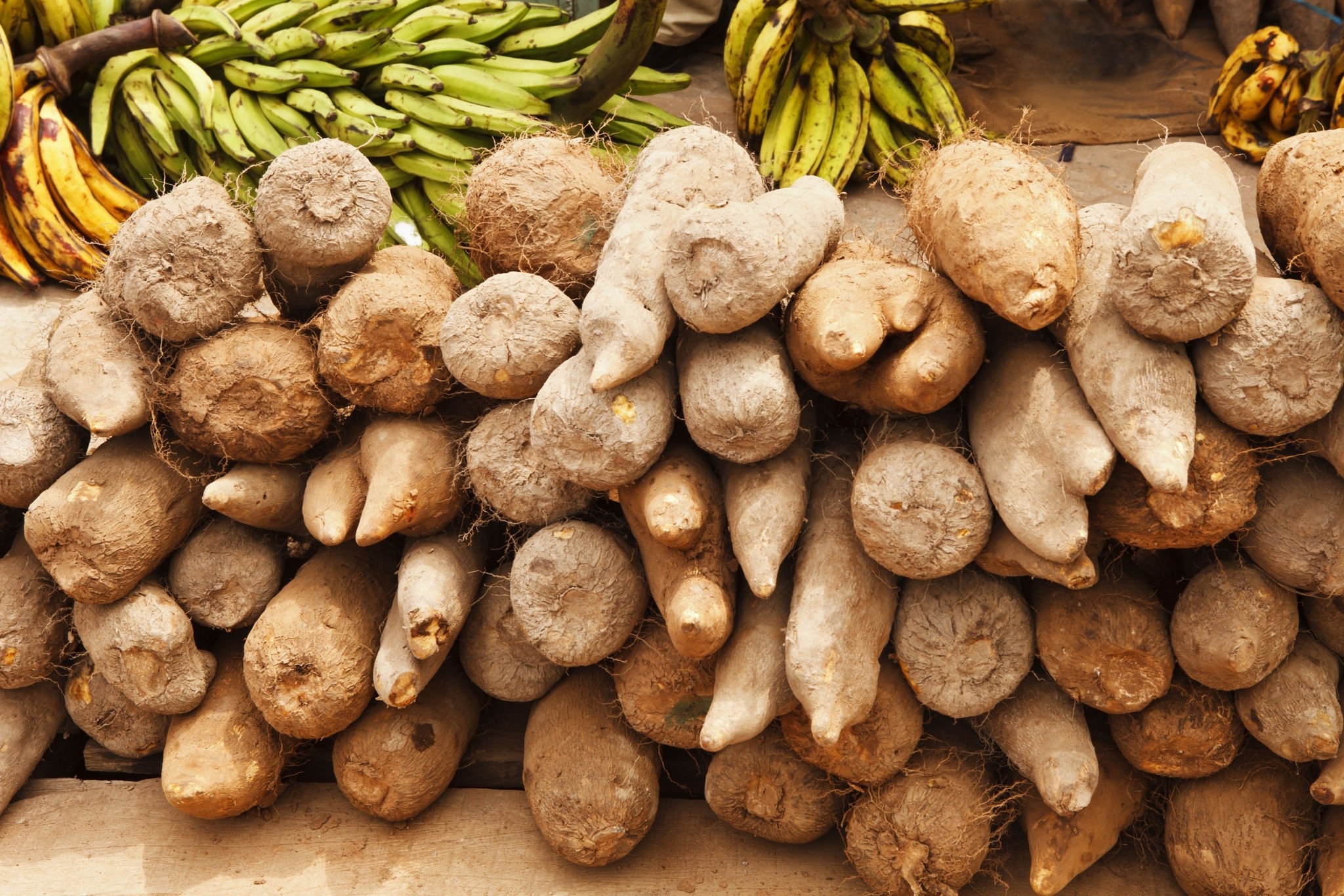 Yams - Image 2